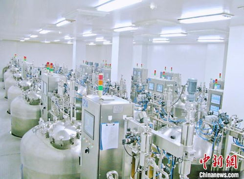 甘肃科研人三坎破坚冰 自主创新实现动物疫苗全产业链自给自足