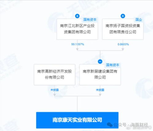 电大大专生研发政务软件变身大股东 大汉软件实控人疑点重重